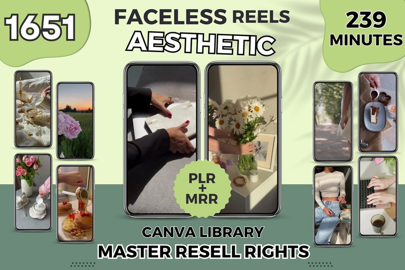 Aesthetic Instagram Reels PLR MRR Videos (by WhimsyDigitalHub)