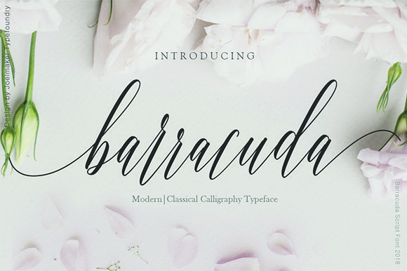 Barracuda Script (by joelmaker)