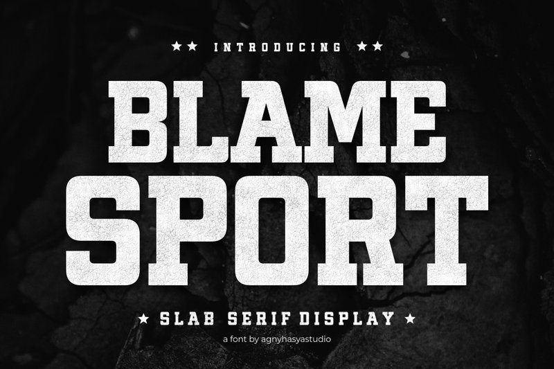 Blame Sport (by agnyhasyastudio)