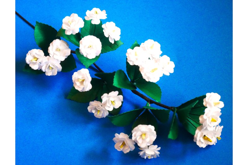 Double Bridal Wreath Spirea (by 3D SVG Crafts)