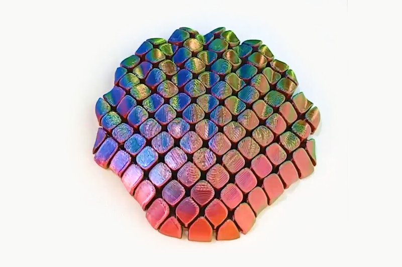 Flexi Seashell – Articulated 3D Print (by exkluzive)