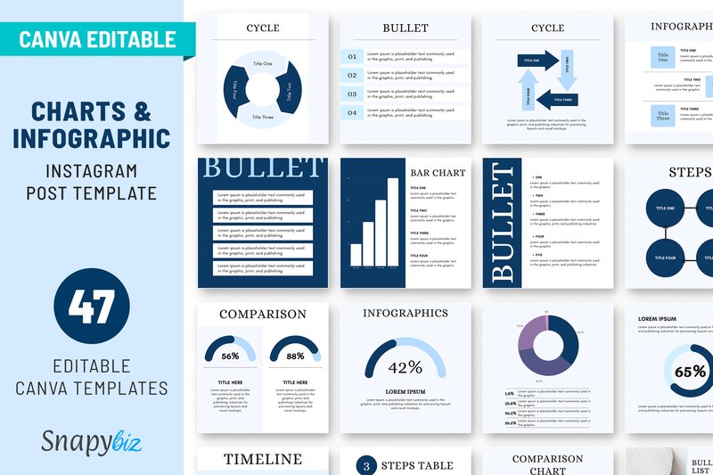 IG Canva Charts and Infographic Template (by SnapyBiz)