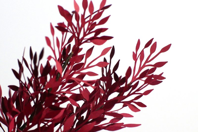 Leaves Foliage and Fillers (by 3D SVG Crafts)