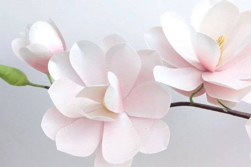 Magnolia Paper Flower (by Creative Fabrica Crafts)