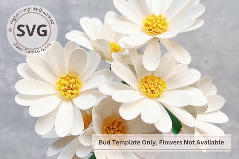 Paper Daisy Flower SVG Template (by Bloomingdale Collections)