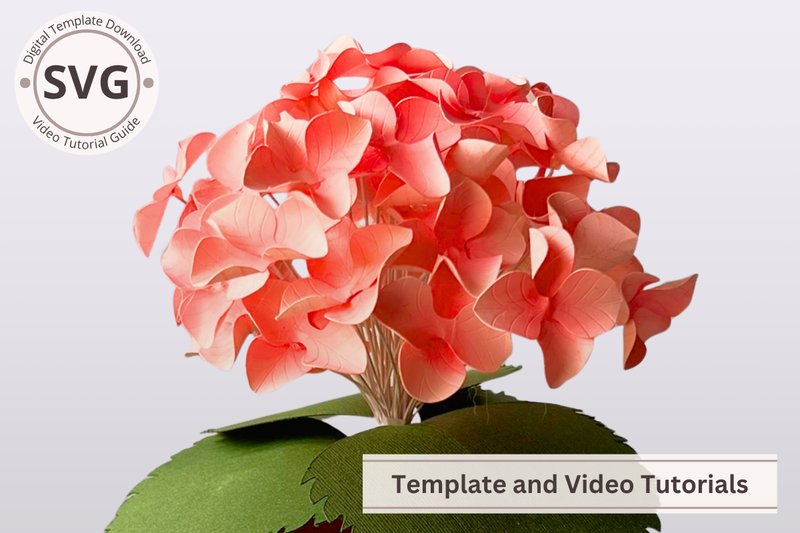 Paper Flower Hydrangea 3D SVG Template (by Bloomingdale Collections)
