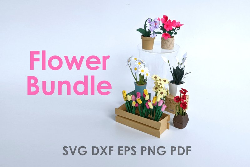 Paper Flower Template Bundle (by Hey JB Design)
