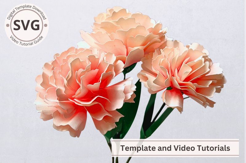 Paper Flower Two Tone Carnation Template (by Bloomingdale Collections)