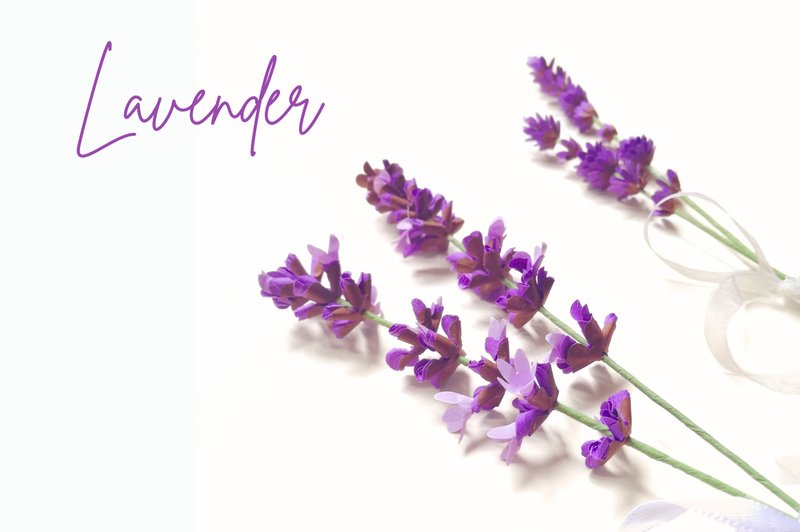 Sprig of Lavender - Realistic Flower (by EnvyCr\u00e9a)