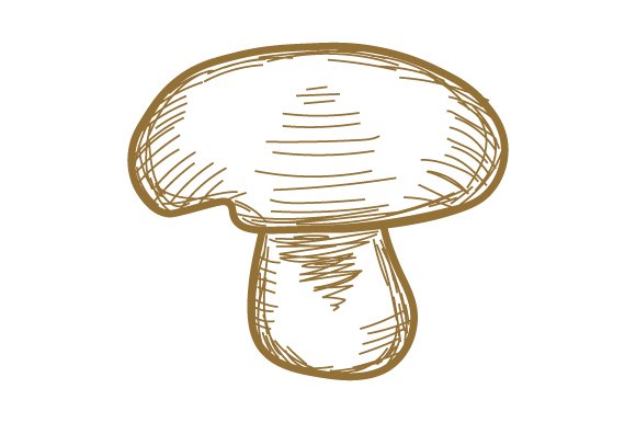 Boletus Rubriceps – Rocky Mountain Red , Vintage Sketch (by Creative Fabrica Crafts)
