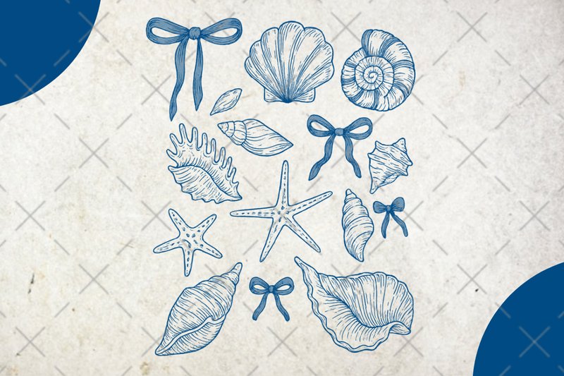 Coquette Seashell Coastal Summer PNG (by benbouselham.lamia100)