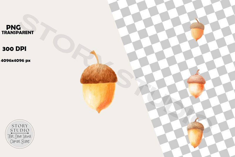 Cute Acorn Clipart for Autumn Crafts (by Story Studio)