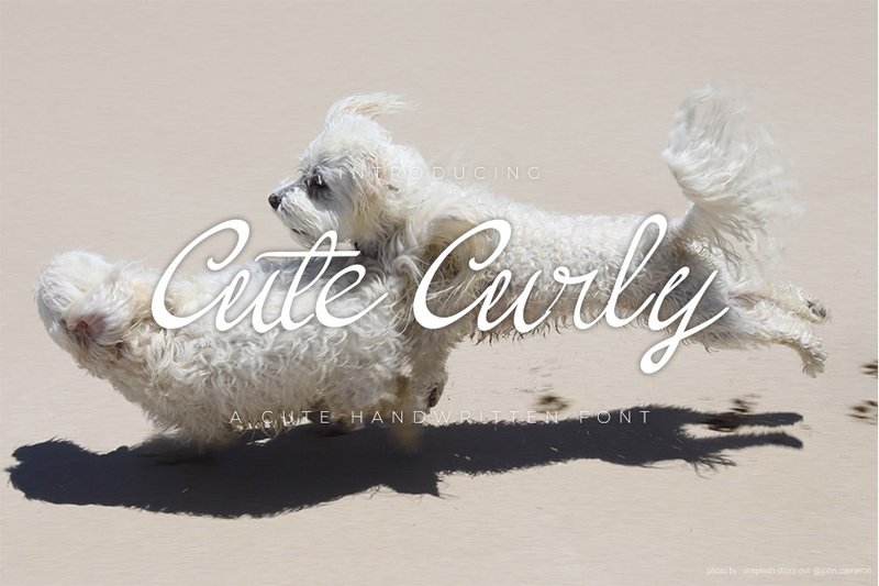 Cute Curly (by Creassion Studio)