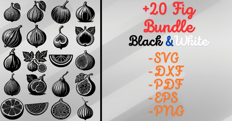 Fig SVG Bundle (by Artful Assetsy)