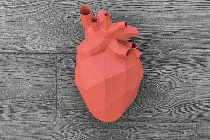 Human Heart 3D Paper Sculpture (by Creative Fabrica Crafts)