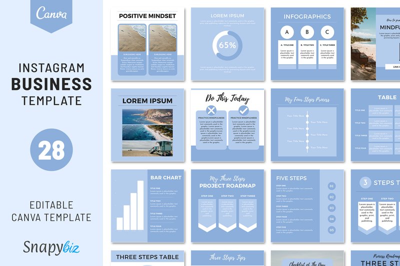 Instagram Business Coaching Template (by SnapyBiz)
