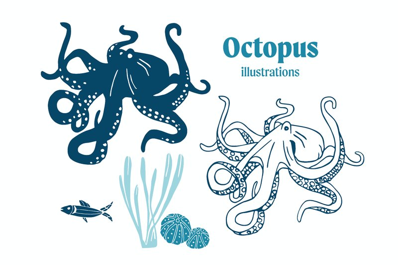 Octopus (Kraken) Vector Illustrations (by Anna Karoline)