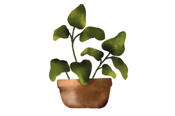 Potted Plant Watercolor (by Creative Fabrica Crafts)