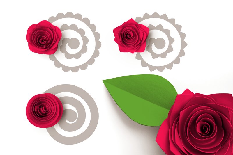 Rolled Paper Flowers SVG - Basic Petals (by RisaRocksIt)