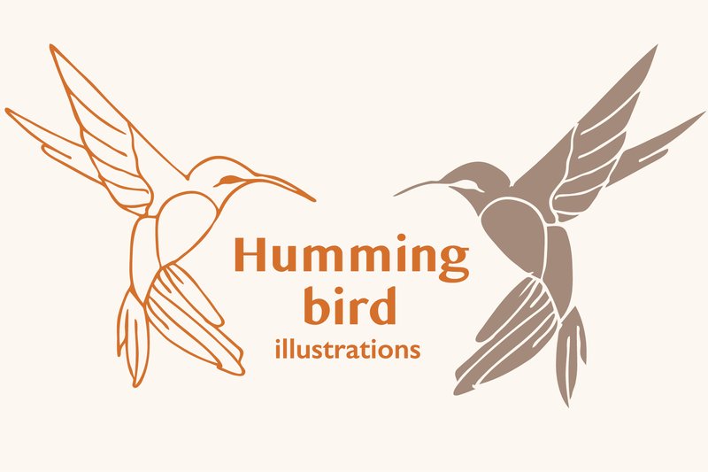 Two Humming Bird Vector Illustrations (by Anna Karoline)