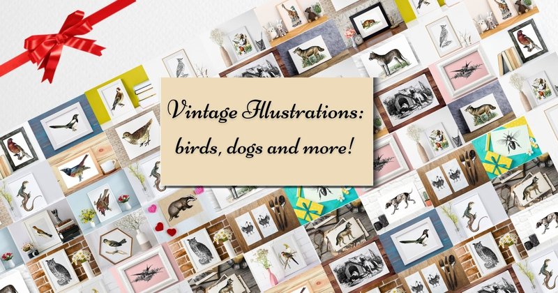 Vintage Illustrations Birds & Dogs Bundle (by Aneta Design)