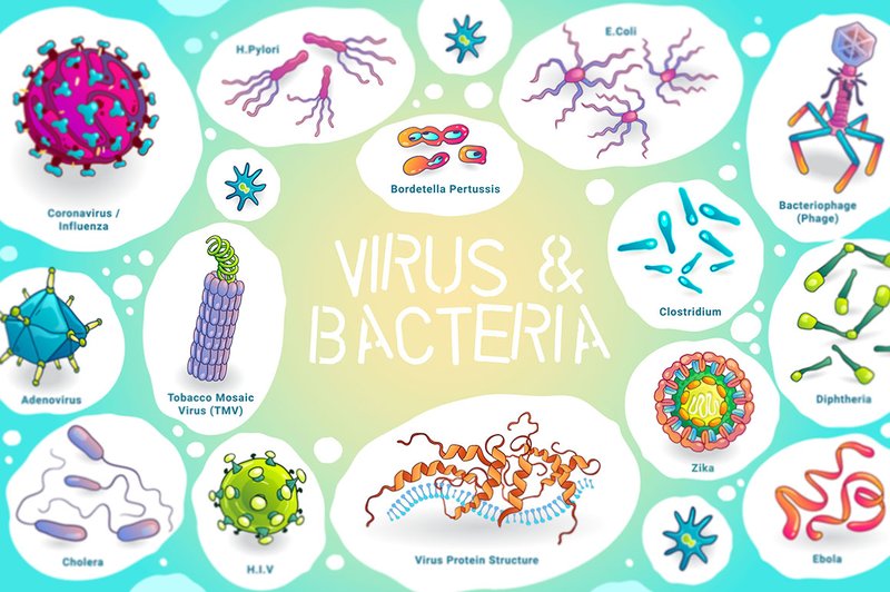 Virus Bacteria Vector Illustrations (by SCWorkspace)