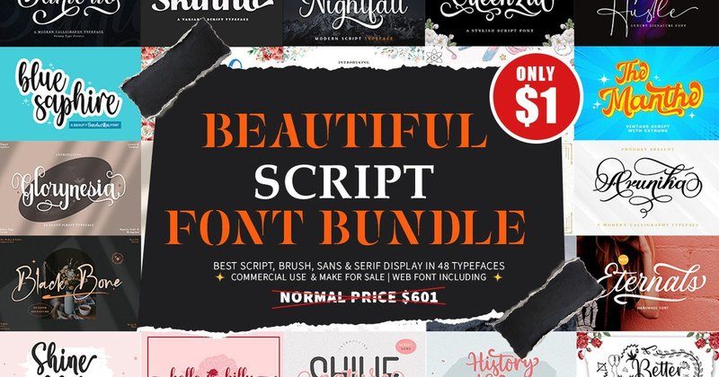Beautiful Script Font Bundle (by Skinny type)