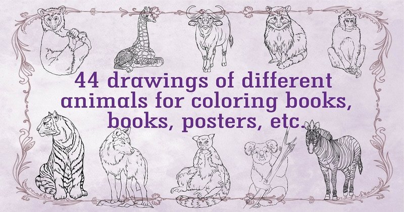 Zoo Animals for Coloring Books Vector Bundle