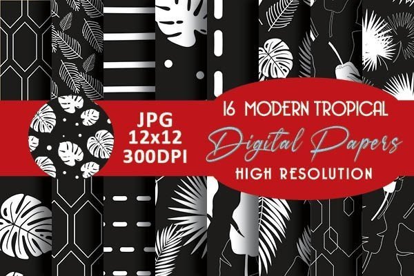 Black and White Modern Tropical Patterns (by Grafixeo)