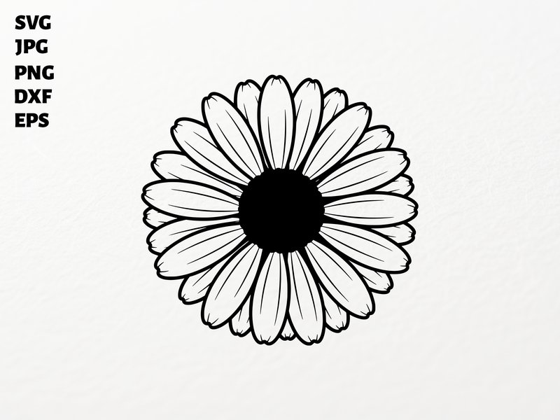Daisy Flower SVG for Cricut Sublimation (by svgstudiofiles)