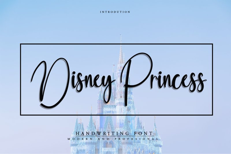 Disney Princess (by pinkmeca)