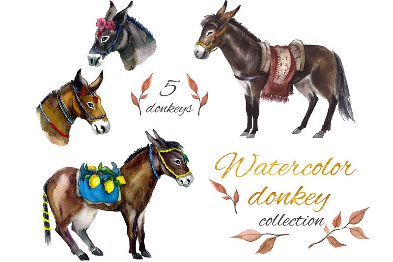 Farm Animal Clipart. Watercolor Donkey (by KomtsyanTatyanaArt)