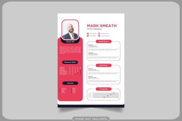 New UI UX Designer Resume Infographic