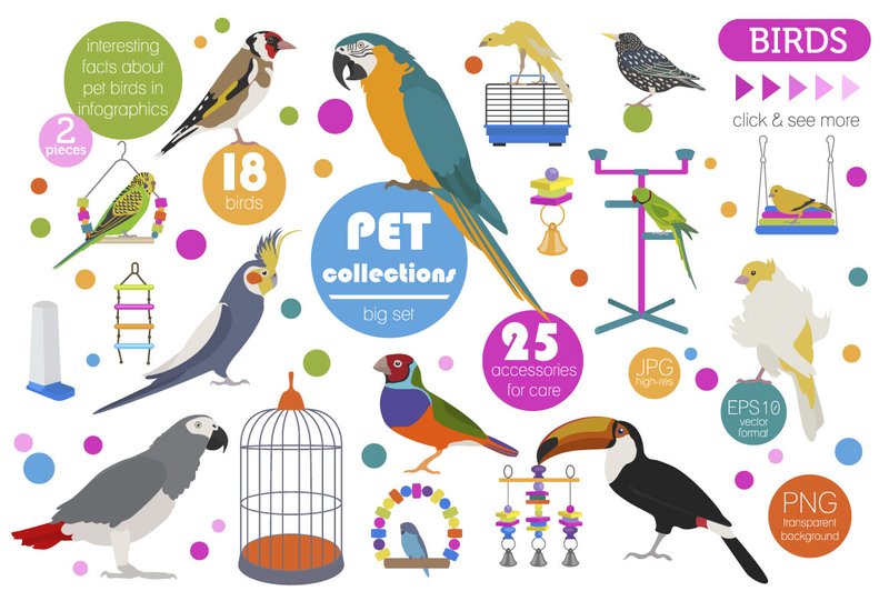 Pet Birds Illustrations Set (by pet design shop)