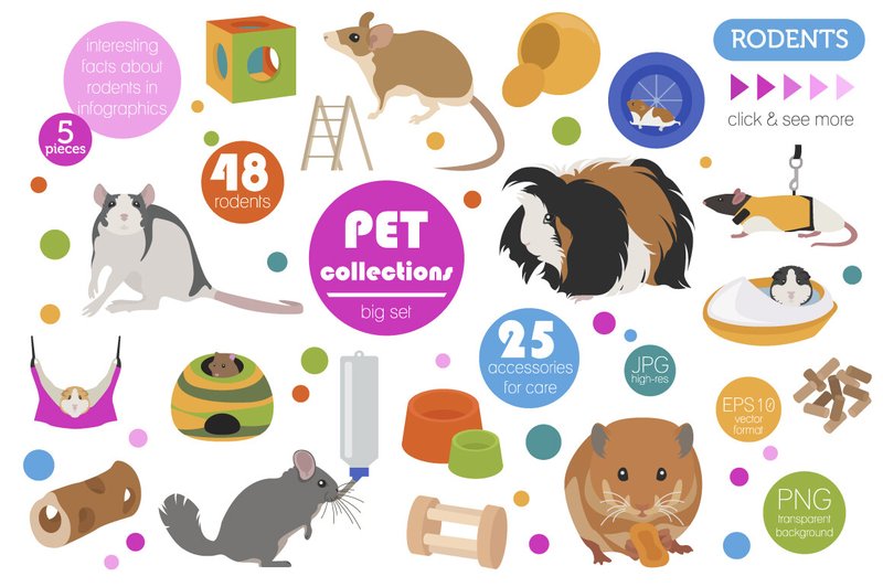 Pet Rodents Illustrations Set (by pet design shop)