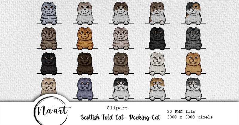 Scottish Fold Cat - Peeking Cat Clipart Bundle (by Na'Art)