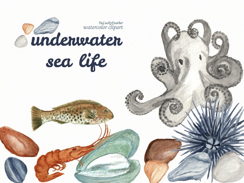 Underwater Sea Life Watercolor Clipart (by YuLuckyFeather)