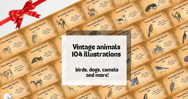 Vintage Animals Illustration Bundle (by Aneta Design)