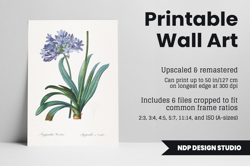 Vintage Botanical Printable Wall Art (by NDP Design Studio)