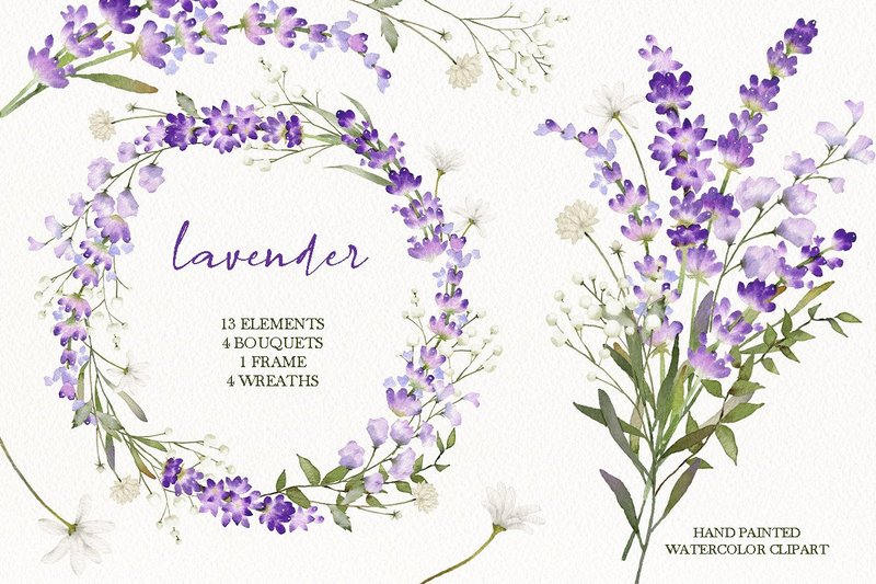 Watercolor Lavender Floral Clipart (by Fineartlab)